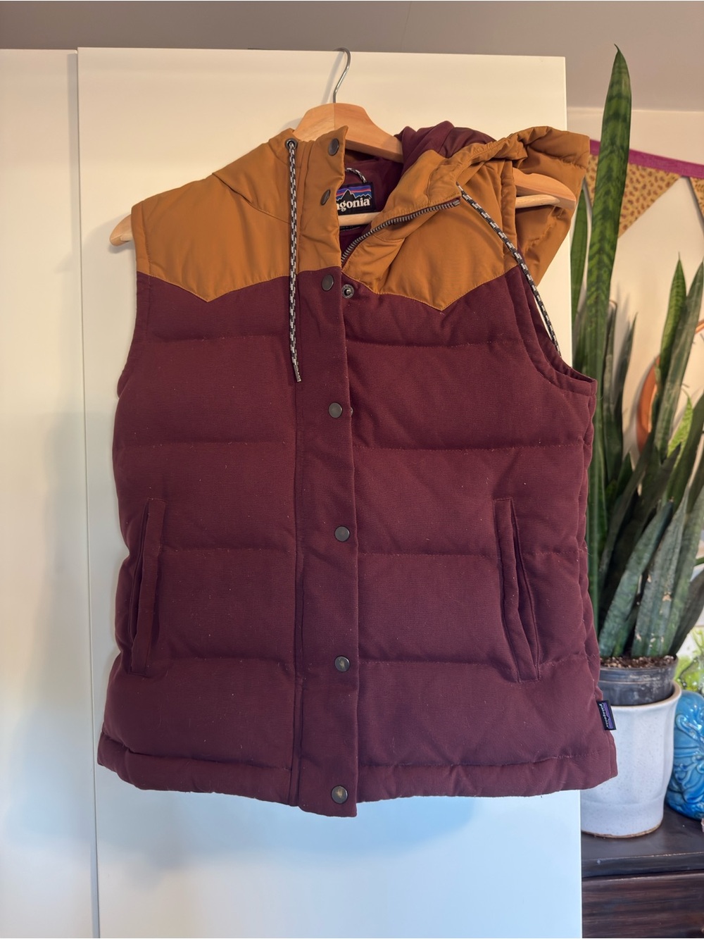 Patagonia Women's Bivy Hooded Vest
